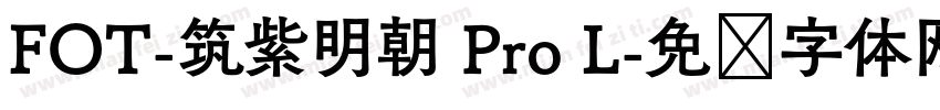 FOT-筑紫明朝 Pro L字体转换